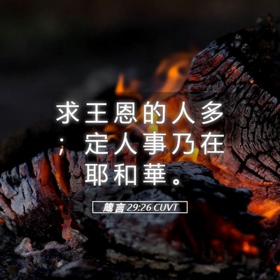 Picture 05 - 箴 言 29:26 CUVT - 求 王 恩 的 人 多 ； 定 人 事 乃 在 - Bible Verse Picture