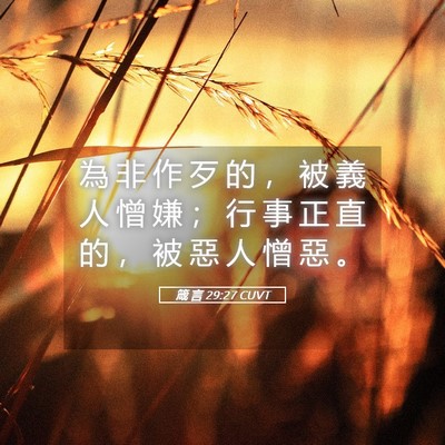 Picture 05 - 箴 言 29:27 CUVT - 為 非 作 歹 的 ， 被 義 人 憎 嫌 ； - Bible Verse Picture