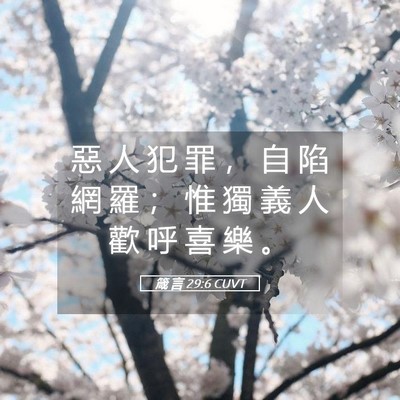 Picture 05 - 箴 言 29:6 CUVT - 惡 人 犯 罪 ， 自 陷 網 羅 ； 惟 獨 - Bible Verse Picture