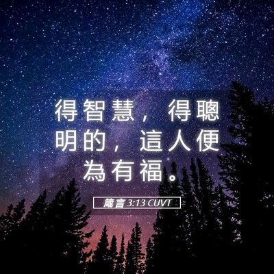Picture 05 - 箴 言 3:13 CUVT - 得 智 慧 ， 得 聰 明 的 ， 這 人 便 - Bible Verse Picture