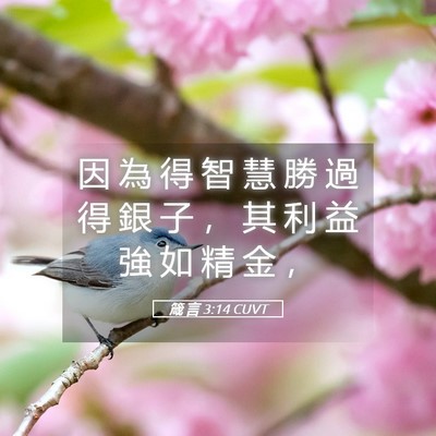 Picture 05 - 箴 言 3:14 CUVT - 因 為 得 智 慧 勝 過 得 銀 子 ， 其 - Bible Verse Picture