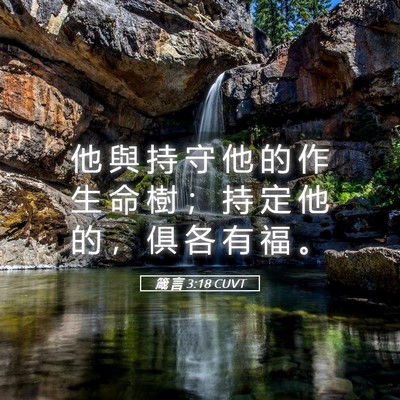 Picture 05 - 箴 言 3:18 CUVT - 他 與 持 守 他 的 作 生 命 樹 ； 持 - Bible Verse Picture