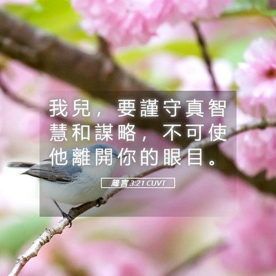 Picture 05 - 箴 言 3:21 CUVT - 我 兒 ， 要 謹 守 真 智 慧 和 謀 略 - Bible Verse Picture