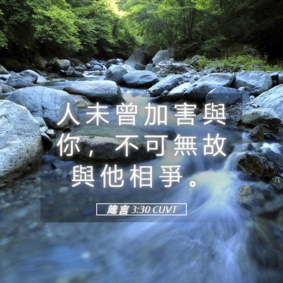 Picture 05 - 箴 言 3:30 CUVT - 人 未 曾 加 害 與 你 ， 不 可 無 故 - Bible Verse Picture