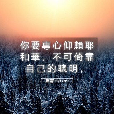 Picture 05 - 箴 言 3:5 CUVT - 你 要 專 心 仰 賴 耶 和 華 ， 不 可 - Bible Verse Picture