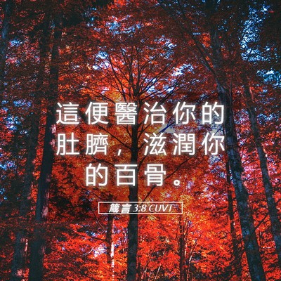 Picture 05 - 箴 言 3:8 CUVT - 這 便 醫 治 你 的 肚 臍 ， 滋 潤 你 - Bible Verse Picture