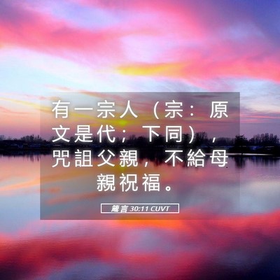 Picture 05 - 箴 言 30:11 CUVT - 有 一 宗 人 （ 宗 ： 原 文 是 代 ； - Bible Verse Picture
