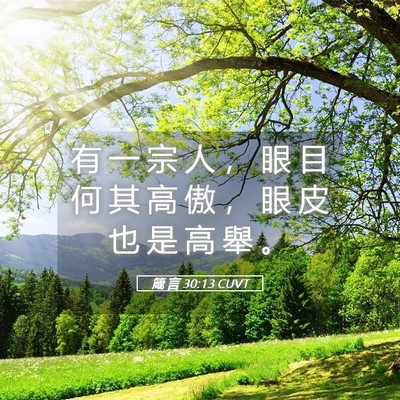 Picture 05 - 箴 言 30:13 CUVT - 有 一 宗 人 ， 眼 目 何 其 高 傲 ， - Bible Verse Picture
