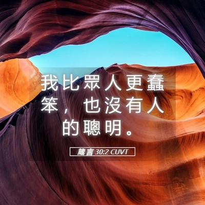 Picture 05 - 箴 言 30:2 CUVT - 我 比 眾 人 更 蠢 笨 ， 也 沒 有 人 - Bible Verse Picture