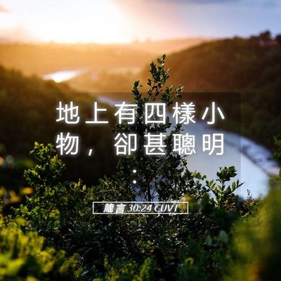 Picture 05 - 箴 言 30:24 CUVT - 地 上 有 四 樣 小 物 ， 卻 甚 聰 明 - Bible Verse Picture