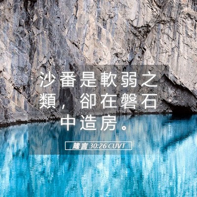Picture 05 - 箴 言 30:26 CUVT - 沙 番 是 軟 弱 之 類 ， 卻 在 磐 石 - Bible Verse Picture