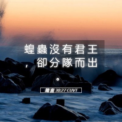 Picture 05 - 箴 言 30:27 CUVT - 蝗 蟲 沒 有 君 王 ， 卻 分 隊 而 出 - Bible Verse Picture