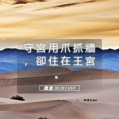 Picture 05 - 箴 言 30:28 CUVT - 守 宮 用 爪 抓 牆 ， 卻 住 在 王 宮 - Bible Verse Picture
