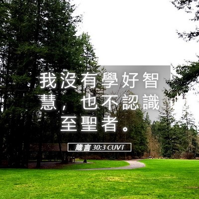 Picture 05 - 箴 言 30:3 CUVT - 我 沒 有 學 好 智 慧 ， 也 不 認 識 - Bible Verse Picture