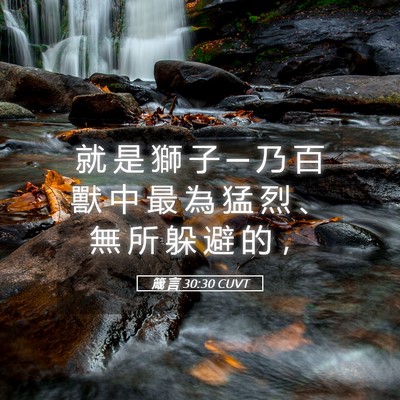 Picture 05 - 箴 言 30:30 CUVT - 就 是 獅 子 ─ 乃 百 獸 中 最 為 猛 - Bible Verse Picture