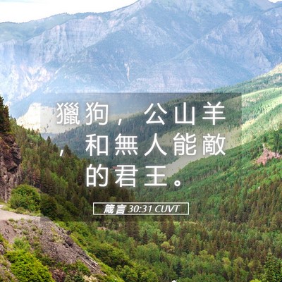 Picture 05 - 箴 言 30:31 CUVT - 獵 狗 ， 公 山 羊 ， 和 無 人 能 敵 - Bible Verse Picture