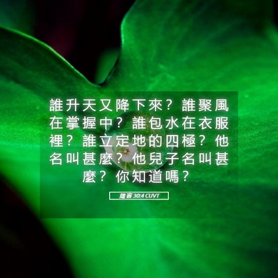Picture 05 - 箴 言 30:4 CUVT - 誰 升 天 又 降 下 來 ？ 誰 聚 風 在 - Bible Verse Picture
