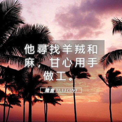 Picture 05 - 箴 言 31:13 CUVT - 他 尋 找 羊 羢 和 麻 ， 甘 心 用 手 - Bible Verse Picture