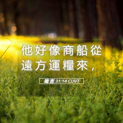 Picture 05 - 箴 言 31:14 CUVT - 他 好 像 商 船 從 遠 方 運 糧 來 - Bible Verse Picture