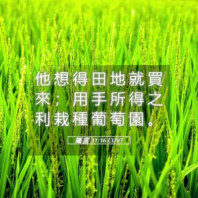 Picture 05 - 箴 言 31:16 CUVT - 他 想 得 田 地 就 買 來 ； 用 手 所 - Bible Verse Picture
