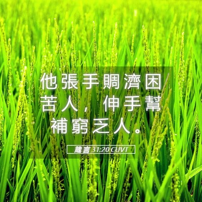 Picture 05 - 箴 言 31:20 CUVT - 他 張 手 賙 濟 困 苦 人 ， 伸 手 幫 - Bible Verse Picture