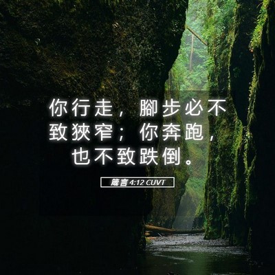 Picture 05 - 箴 言 4:12 CUVT - 你 行 走 ， 腳 步 必 不 致 狹 窄 ； - Bible Verse Picture