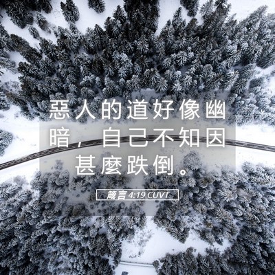 Picture 05 - 箴 言 4:19 CUVT - 惡 人 的 道 好 像 幽 暗 ， 自 己 不 - Bible Verse Picture