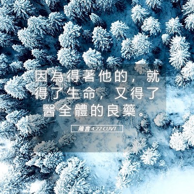 Picture 05 - 箴 言 4:22 CUVT - 因 為 得 著 他 的 ， 就 得 了 生 命 - Bible Verse Picture