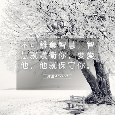 Picture 05 - 箴 言 4:6 CUVT - 不 可 離 棄 智 慧 ， 智 慧 就 護 衛 - Bible Verse Picture
