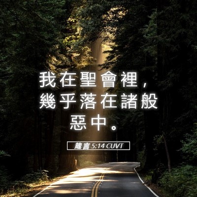 Picture 05 - 箴 言 5:14 CUVT - 我 在 聖 會 裡 ， 幾 乎 落 在 諸 般 - Bible Verse Picture