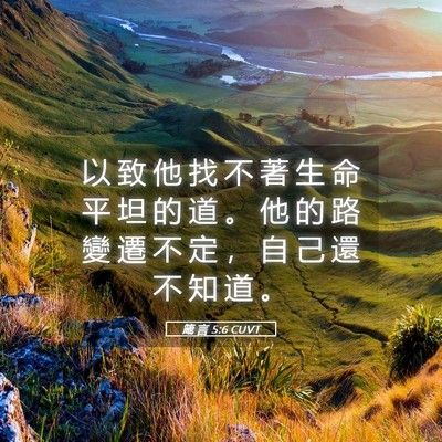 Picture 05 - 箴 言 5:6 CUVT - 以 致 他 找 不 著 生 命 平 坦 的 道 - Bible Verse Picture