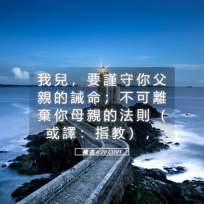 Picture 05 - 箴 言 6:20 CUVT - 我 兒 ， 要 謹 守 你 父 親 的 誡 命 - Bible Verse Picture