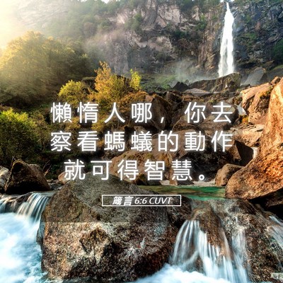 Picture 05 - 箴 言 6:6 CUVT - 懶 惰 人 哪 ， 你 去 察 看 螞 蟻 的 - Bible Verse Picture