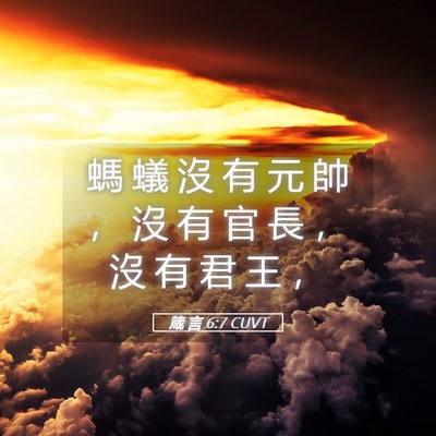 Picture 05 - 箴 言 6:7 CUVT - 螞 蟻 沒 有 元 帥 ， 沒 有 官 長 ， - Bible Verse Picture