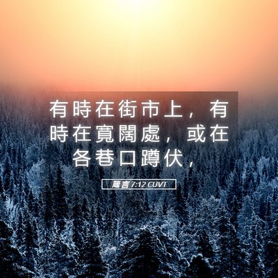 Picture 05 - 箴 言 7:12 CUVT - 有 時 在 街 市 上 ， 有 時 在 寬 闊 - Bible Verse Picture