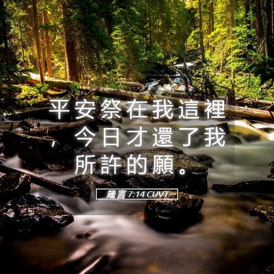 Picture 05 - 箴 言 7:14 CUVT - 平 安 祭 在 我 這 裡 ， 今 日 才 還 - Bible Verse Picture