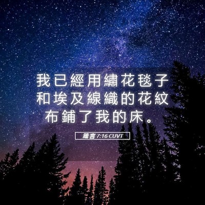 Picture 05 - 箴 言 7:16 CUVT - 我 已 經 用 繡 花 毯 子 和 埃 及 線 - Bible Verse Picture