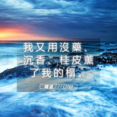Picture 05 - 箴 言 7:17 CUVT - 我 又 用 沒 藥 、 沉 香 、 桂 皮 薰 - Bible Verse Picture