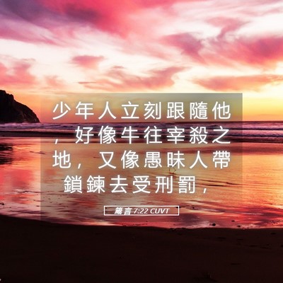 Picture 05 - 箴 言 7:22 CUVT - 少 年 人 立 刻 跟 隨 他 ， 好 像 牛 - Bible Verse Picture