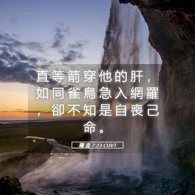 Picture 05 - 箴 言 7:23 CUVT - 直 等 箭 穿 他 的 肝 ， 如 同 雀 鳥 - Bible Verse Picture