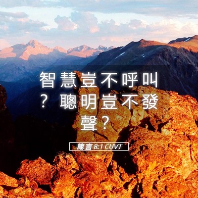 Picture 05 - 箴 言 8:1 CUVT - 智 慧 豈 不 呼 叫 ？ 聰 明 豈 不 發 - Bible Verse Picture