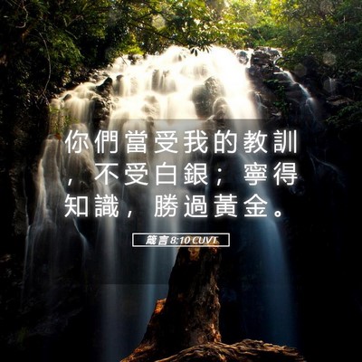 Picture 05 - 箴 言 8:10 CUVT - 你 們 當 受 我 的 教 訓 ， 不 受 白 - Bible Verse Picture