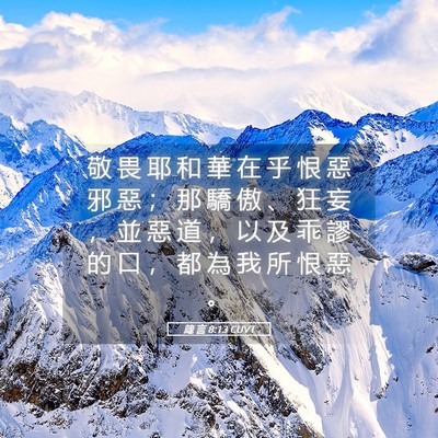 Picture 05 - 箴 言 8:13 CUVT - 敬 畏 耶 和 華 在 乎 恨 惡 邪 惡 ； - Bible Verse Picture