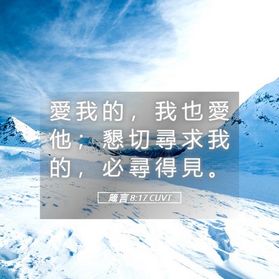 Picture 05 - 箴 言 8:17 CUVT - 愛 我 的 ， 我 也 愛 他 ； 懇 切 尋 - Bible Verse Picture