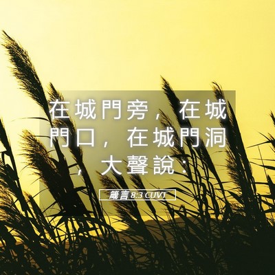 Picture 05 - 箴 言 8:3 CUVT - 在 城 門 旁 ， 在 城 門 口 ， 在 城 - Bible Verse Picture