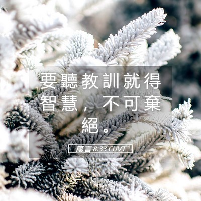 Picture 05 - 箴 言 8:33 CUVT - 要 聽 教 訓 就 得 智 慧 ， 不 可 棄 - Bible Verse Picture
