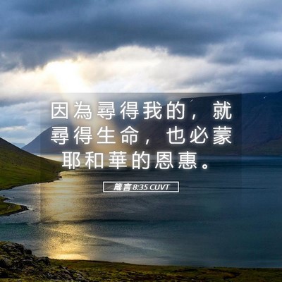 Picture 05 - 箴 言 8:35 CUVT - 因 為 尋 得 我 的 ， 就 尋 得 生 命 - Bible Verse Picture