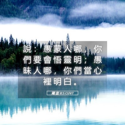 Picture 05 - 箴 言 8:5 CUVT - 說 ： 愚 蒙 人 哪 ， 你 們 要 會 悟 - Bible Verse Picture