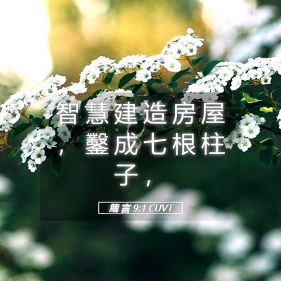Picture 05 - 箴 言 9:1 CUVT - 智 慧 建 造 房 屋 ， 鑿 成 七 根 柱 - Bible Verse Picture