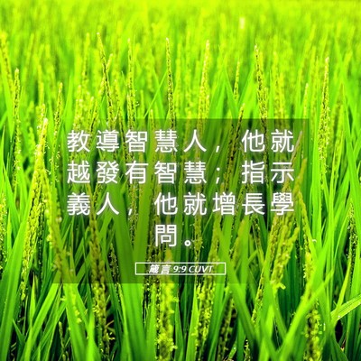 Picture 05 - 箴 言 9:9 CUVT - 教 導 智 慧 人 ， 他 就 越 發 有 智 - Bible Verse Picture